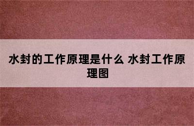 水封的工作原理是什么 水封工作原理图